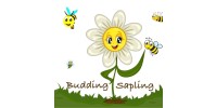 Budding Sapling franchise india